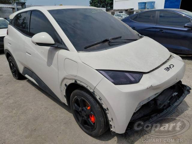 2025 BYD DOLPHIN MINI 