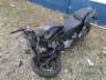2025 HONDA CB 300F 