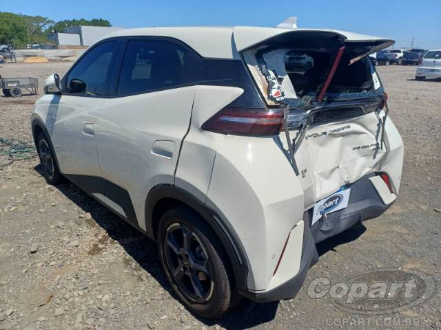 2025 BYD DOLPHIN MINI 