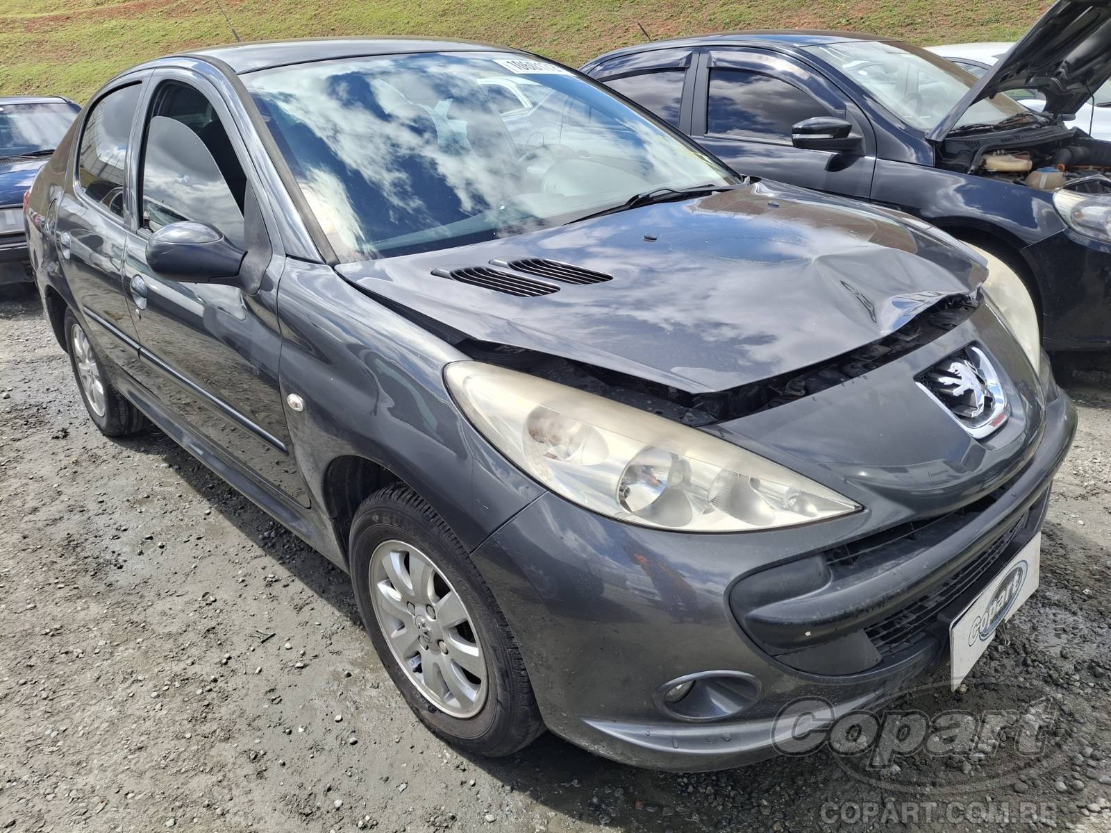 Veículo Peugeot 207 PEUGEOT 207 PASSION 2010 Conservado 2010 em leilão