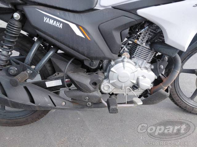 2025 YAMAHA FACTOR 