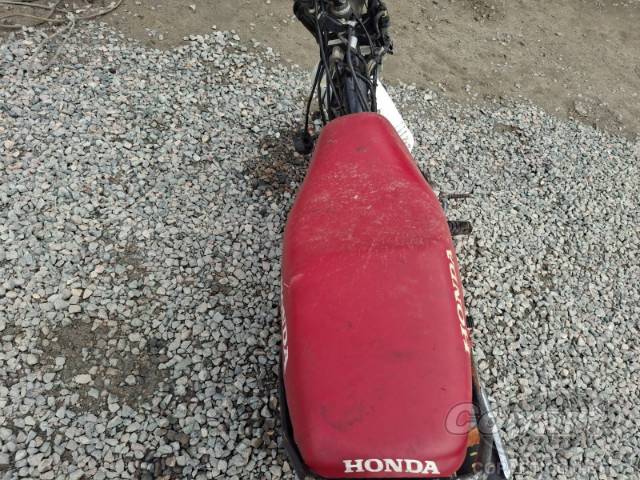 2019 HONDA POP 