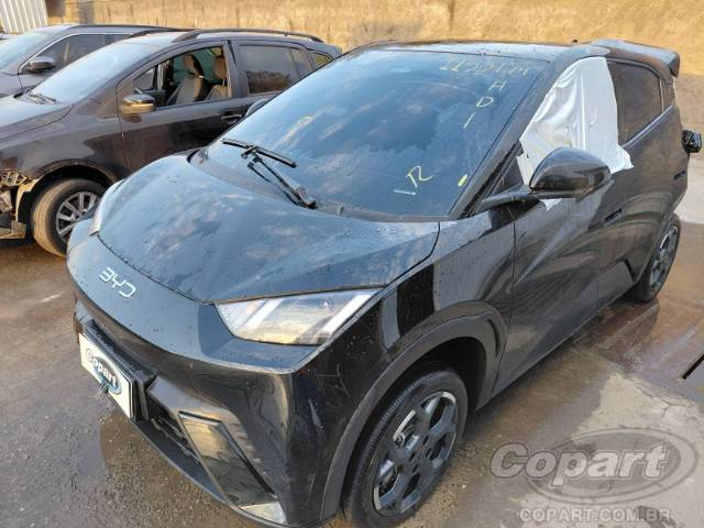 2026 BYD DOLPHIN MINI 
