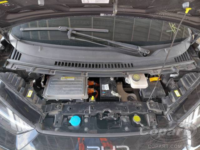 2025 BYD DOLPHIN MINI 
