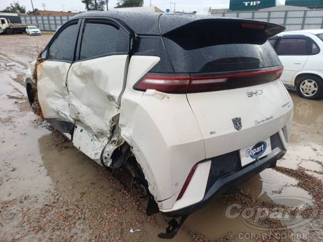 2026 BYD DOLPHIN MINI 