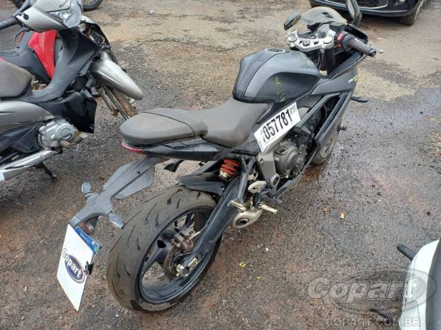 2024 TRIUMPH DAYTONA 