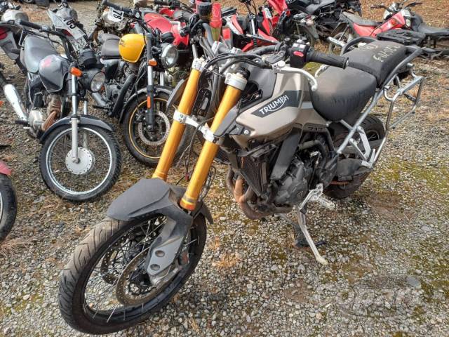 2023 TRIUMPH TIGER 