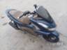 2024 HONDA PCX 