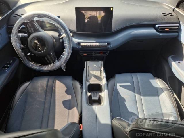 2025 BYD DOLPHIN MINI 