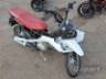 2026 HONDA POP 