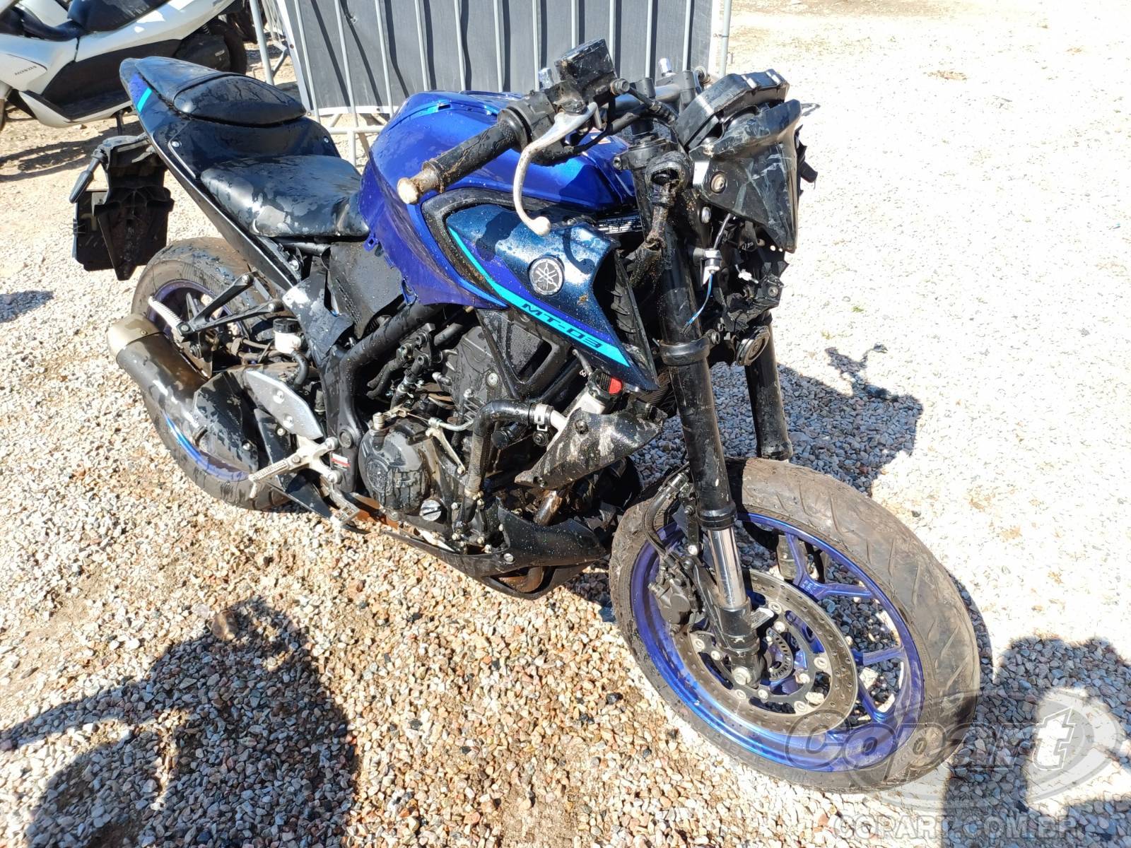 Yamaha MT-03 2024 Média Monta