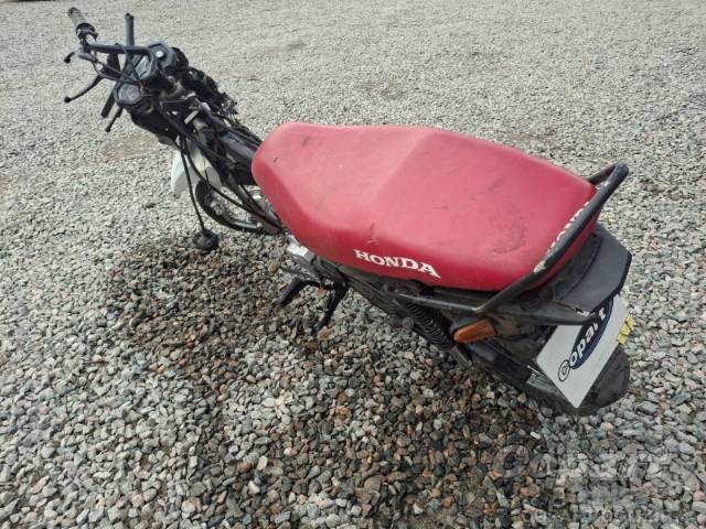 2019 HONDA POP 