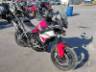 2024 TRIUMPH TIGER 