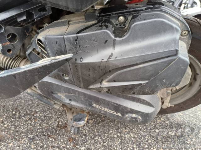 2019 HONDA ELITE 