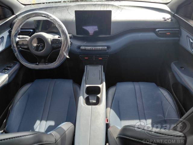 2025 BYD DOLPHIN MINI 