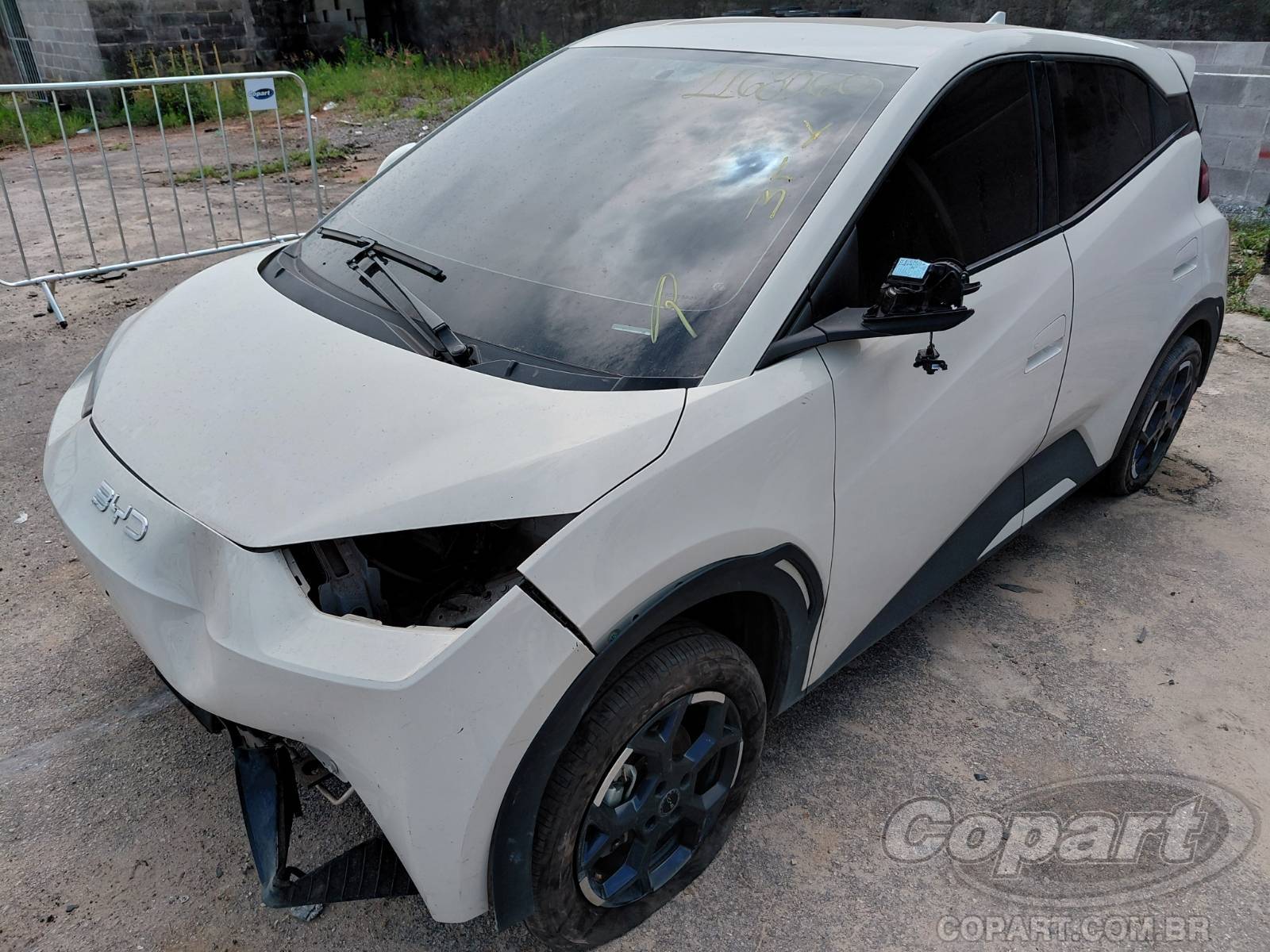Foto 2: 2026 BYD DOLPHIN MINI