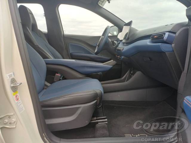 2026 BYD DOLPHIN MINI 