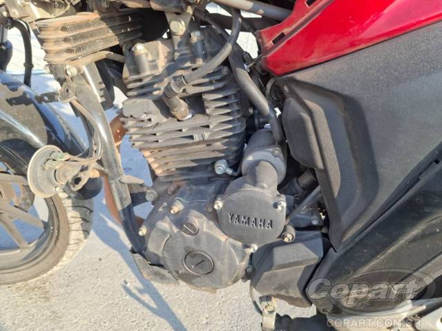 2024 YAMAHA FZ25 FAZER 