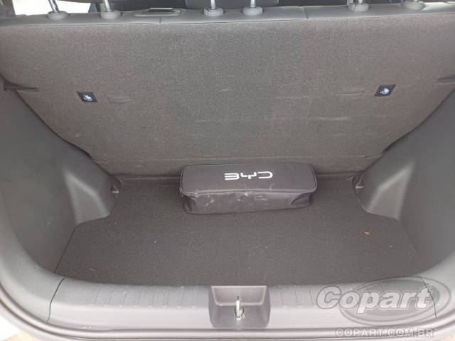 2027 BYD DOLPHIN MINI 