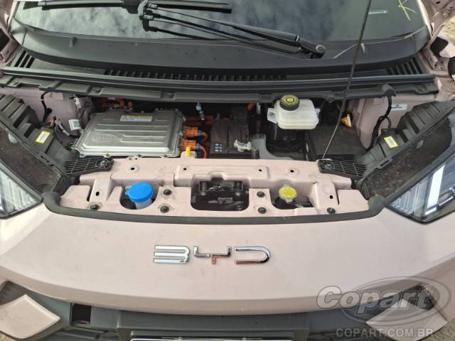 2025 BYD DOLPHIN MINI 