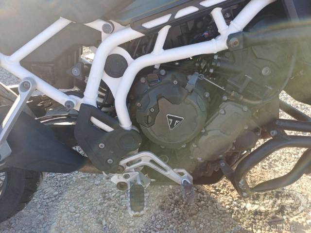 2023 TRIUMPH TIGER 