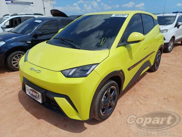 2025 BYD DOLPHIN MINI 