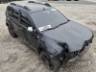 2013 RENAULT DUSTER 