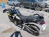 2026 TRIUMPH TIGER 