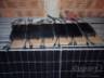 0 OUTROS EQUIPAMENTO FOTOVOLTAICO 
