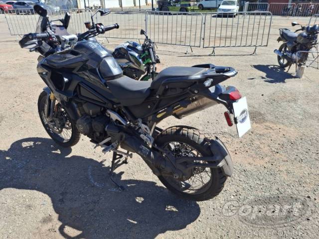 2024 TRIUMPH TIGER 