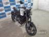 2025 TRIUMPH TRIDENT 