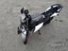 2026 YAMAHA FACTOR 