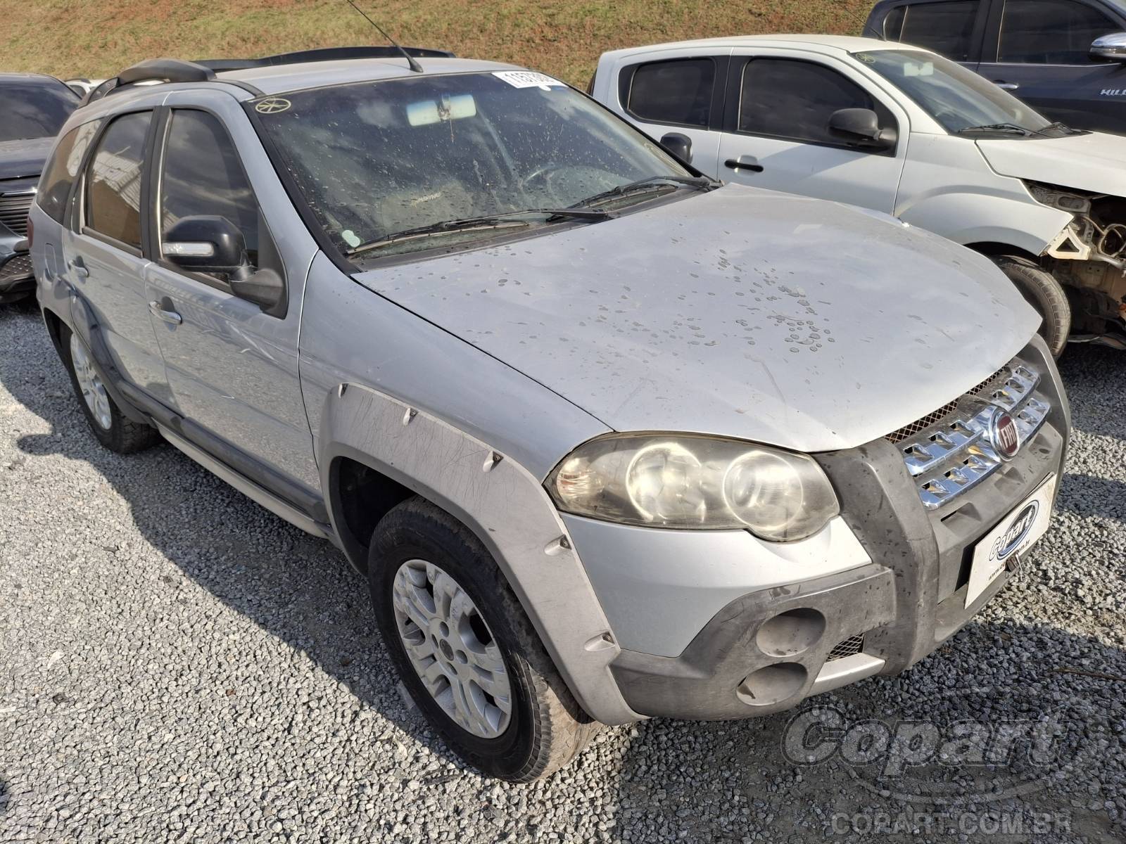 Fiat Palio Weekend Palio Weekend Trekking 1.4 Fire Flex 8V
