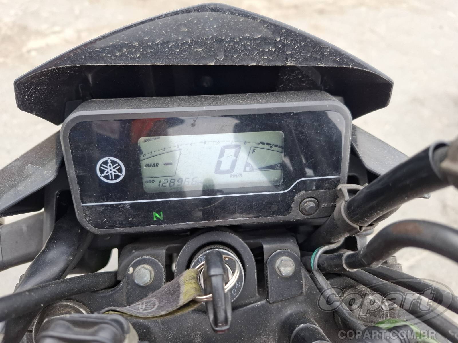 Foto 9 de 10: 2019 YAMAHA YBR 150 FACTOR