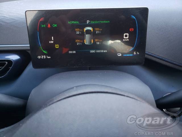 2024 BYD DOLPHIN MINI 