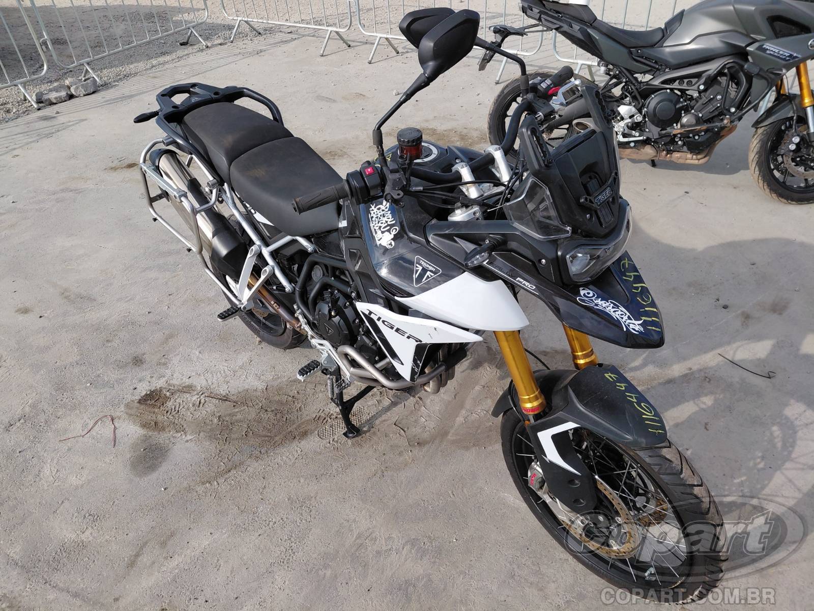 TRIUMPH TIGER 900 Rally PRO 2024