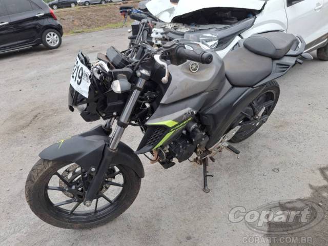 2024 YAMAHA FZ25 FAZER 