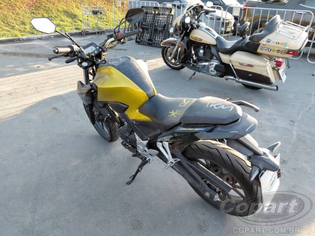 2023 HONDA CB 300F 