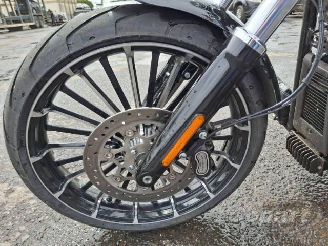 2025 HARLEY-DAVIDSON SOFTAIL 