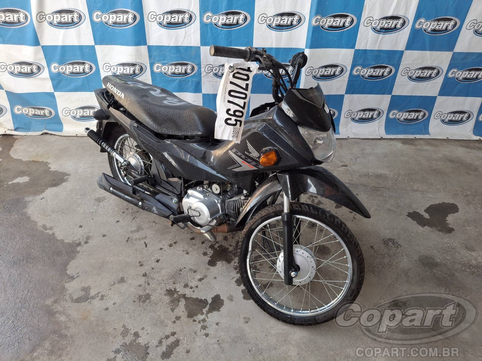 Honda Pop 2025