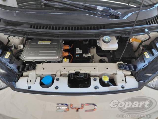 2025 BYD DOLPHIN MINI 