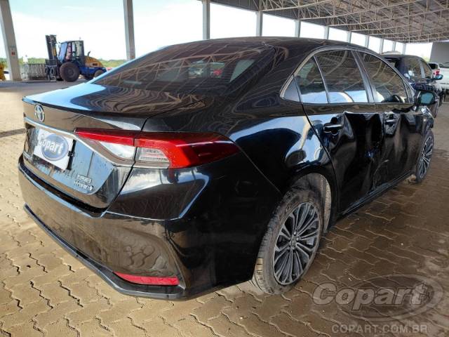 2023 TOYOTA COROLLA 