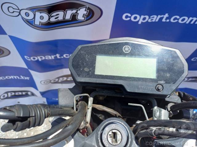 2019 YAMAHA FZ25 FAZER 