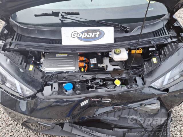 2025 BYD DOLPHIN MINI 