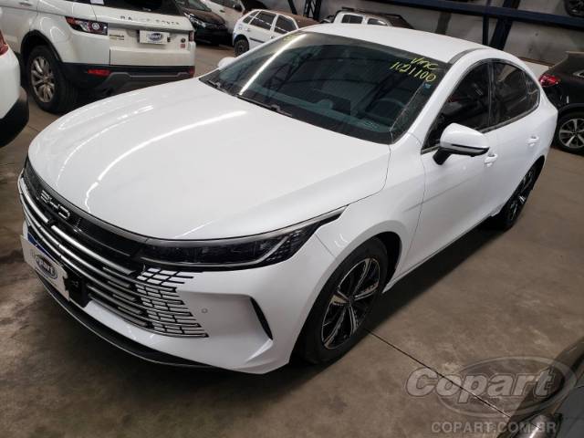 2025 BYD KING 