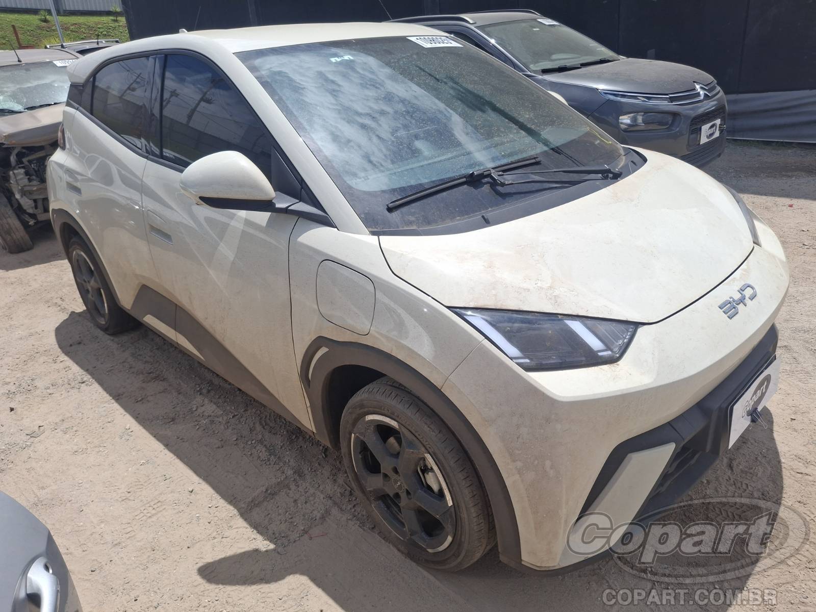 Veículo BYD Dolphin BYD Dolphin Mini 2025 2025 em leilão