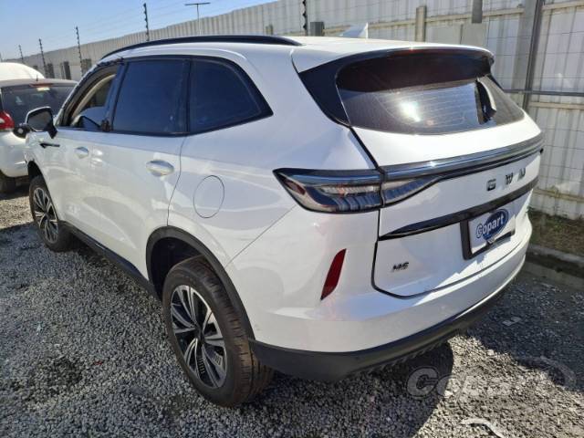 2025 GWM HAVAL H6 