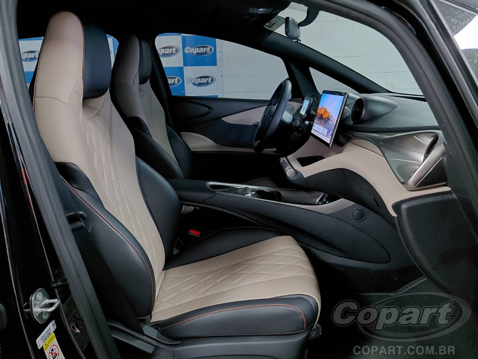 Foto 5: 2027 BYD DOLPHIN