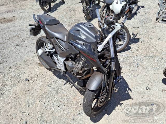 2023 HONDA CB 300F 