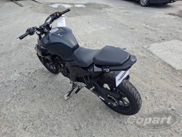 2024 YAMAHA FZ25 FAZER 
